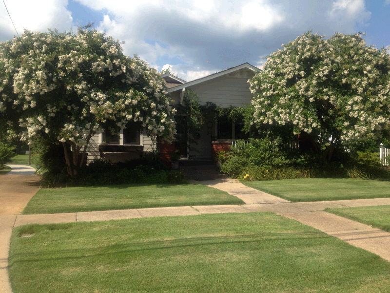 502 East Main Street, Albertville, AL 35950 