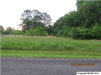 0 EDMONDSON STREE, Albertville, AL 35950 