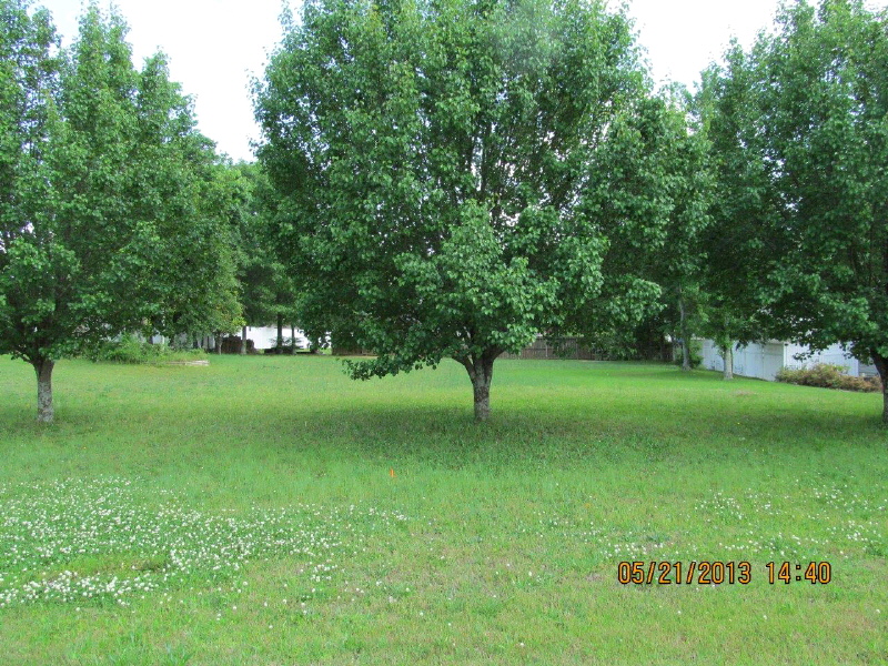 Navaho Drive, Albertville, AL 35950 