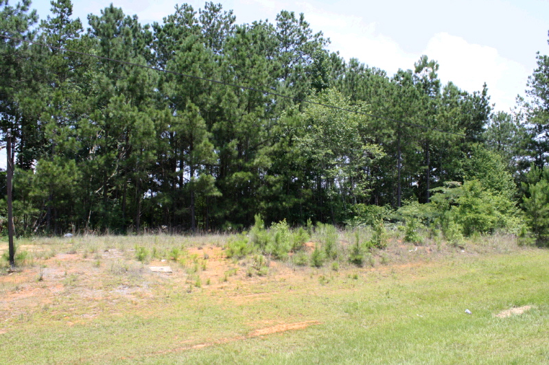 Us Highway 431 N, Albertville, AL 35951 