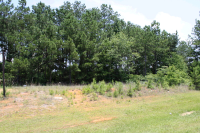 Us Highway 431 N, Albertville, AL 35951 