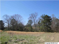 1243 EAST MAIN ST, Albertville, AL 35951 