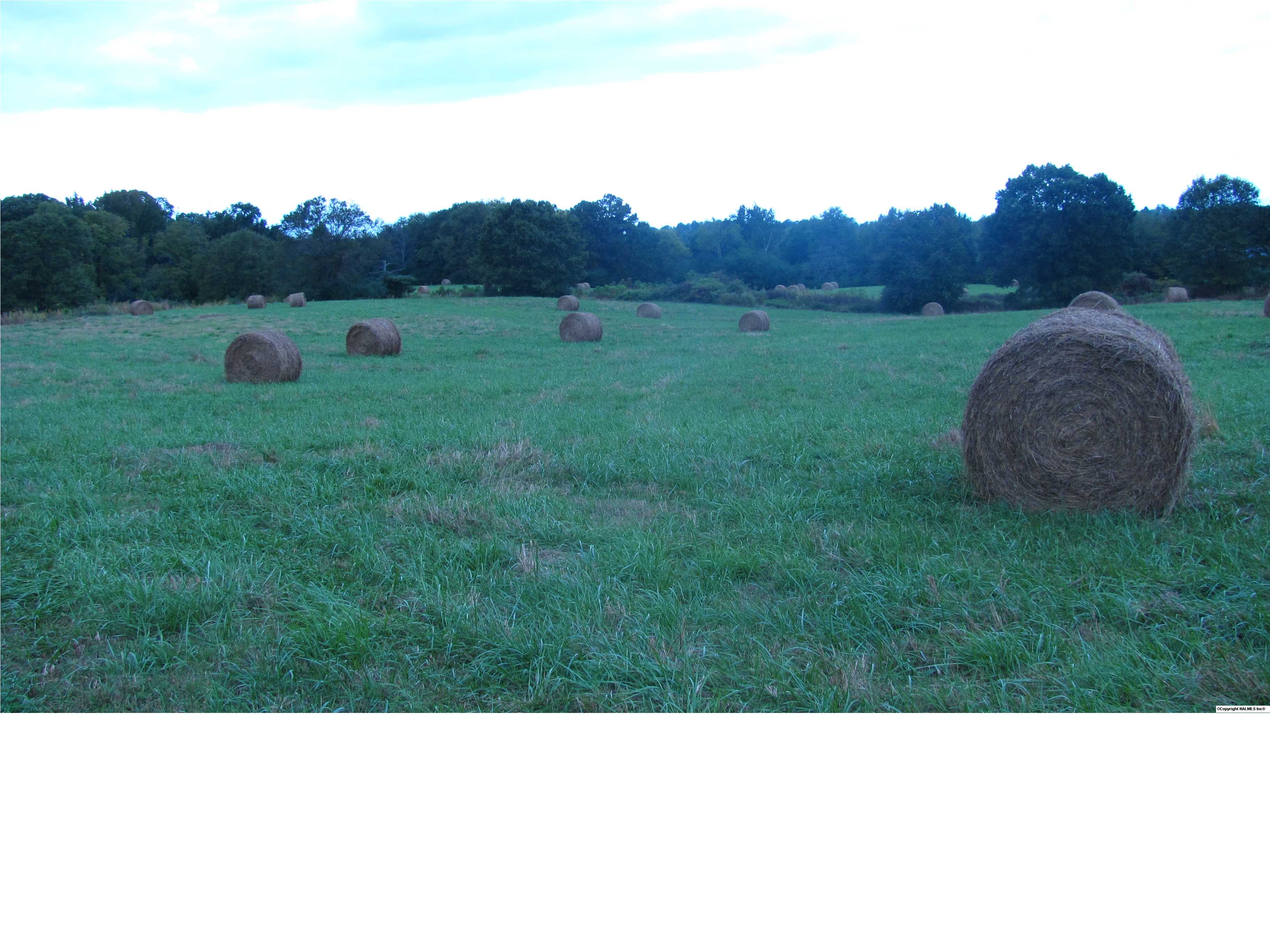 Rose Road, Albertville, AL 35951 