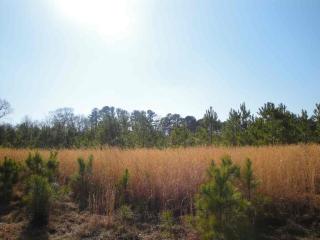 100 Corbinville Road, Albertville, AL 35951 