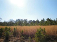 100 Corbinville Road, Albertville, AL 35951 