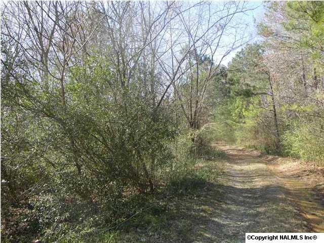 0 Plantation DRive, Albertville, AL 35951 