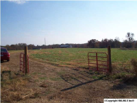 1155 County Road 359, Geraldine, AL 35974 