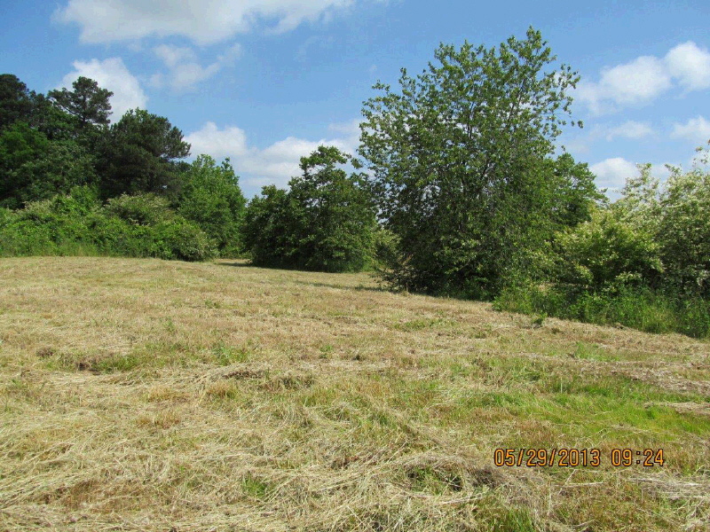 CO RD 54, Geraldine, AL 35974 