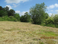 CO RD 54, Geraldine, AL 35974 