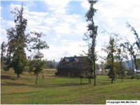 2500 BUCK ISLAND DRIVE, Guntersville, AL 35976 