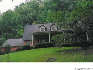 3703 wyeth drive, Guntersville, AL 35976 