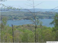 Hwy 227, Guntersville, AL 35976 