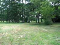 Fairview Road, Guntersville, AL 35976 