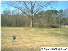 Eliza Lane, Guntersville, AL 35976 