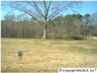 Eliza Lane, Guntersville, AL 35976 