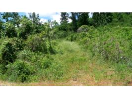 521 NESMITH ROAD, Guntersville, AL 35976 