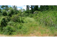 521 NESMITH ROAD, Guntersville, AL 35976 