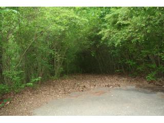 Dunlap Ave., Guntersville, AL 35976 