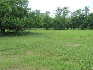 2810 Old Carter Hill Road, Pike Road, AL 36064 