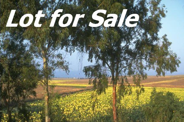 3075 Paradise Pakrway, Hoover, AL 35244 