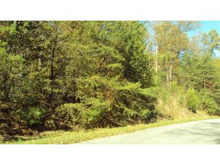 75 Cove Creek Rd, Florence, AL 35634 