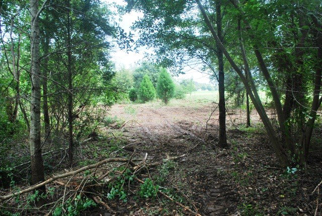 18525 Kendrick Road, Robertsdale, AL 36567 