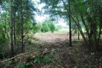 18525 Kendrick Road, Robertsdale, AL 36567 