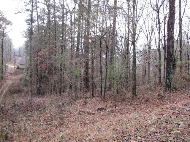 0 Lakeview Drive #52, Alpine, AL 35014 