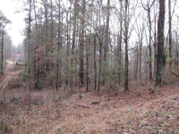 0 Lakeview Drive #52, Alpine, AL 35014 