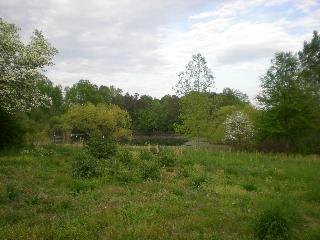 5129 COUNTY ROAD 1807, Arab, AL 35016 