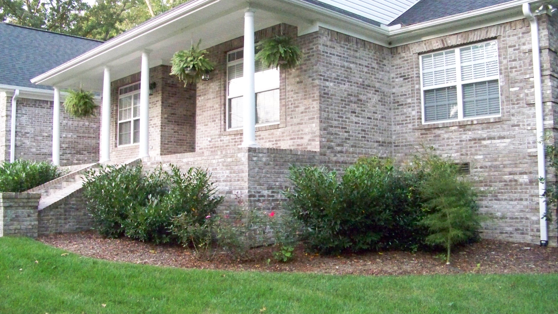 165 CREEKSIDE LANE, Arab, AL 35016 