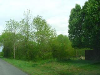 SHOAL CREEK TRAIL, ARAB, 35016, Arab, AL 35016 