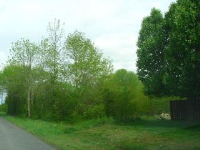 SHOAL CREEK TRAIL, ARAB, 35016, Arab, AL 35016 