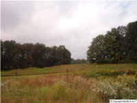 4th Street, Arab, AL 35016 