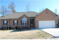 260 HEIDELBERG LANE, Arab, AL 35016 