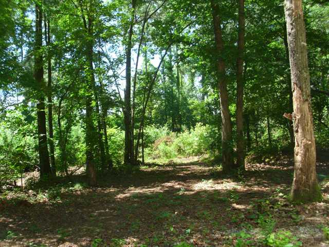 337 FRONTIER ROAD, Arab, AL 35016 