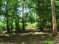 337 FRONTIER ROAD, Arab, AL 35016 