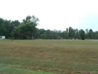 1525 CRANFORD ROAD, Arab, AL 35016 