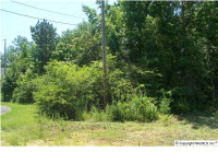 508 FAIRWAY CIRCLE, Arab, AL 35016 