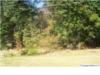 835 SHOAL CREKK TRAIL, Arab, AL 35016 