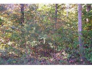 1958 PINE LAKE TRAIL NW, Arab, AL 35016 