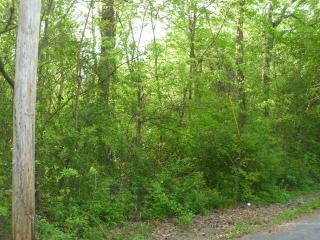 6TH STREET NE, Arab, AL 35016 