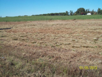 0 CO. RD. 796, Cullman, AL 35055 