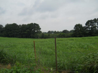 0 COUNTY ROAD 1616, Cullman, AL 35058 