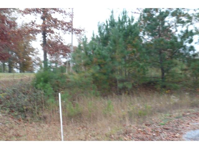 341 Co Rd 7001, Cullman, AL 35058 