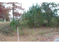 341 Co Rd 7001, Cullman, AL 35058 