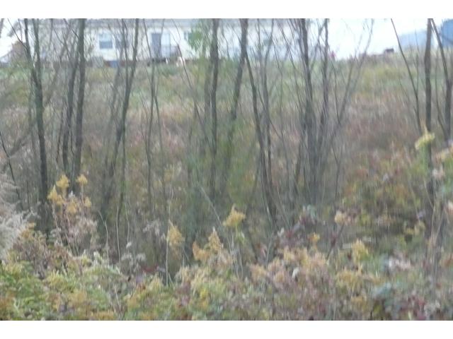 261 County Road 7001, Holly Pond, AL 35058 