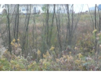 261 County Road 7001, Holly Pond, AL 35058 