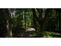 0 Embry Bend, Lincoln, AL 35096 