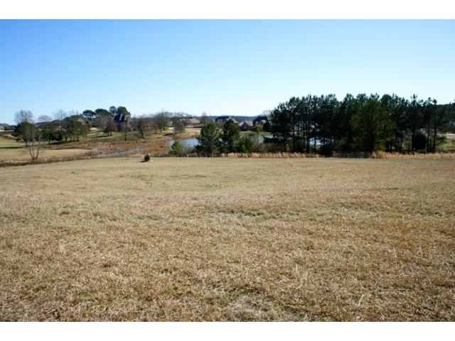 0 Eastland Hills #83, Lincoln, AL 35096 